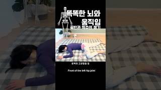 정보망들이 연결될때 , 나이를 넘어 뇌와 몸은 발전할수 #관찰 #뇌가소성 #척추