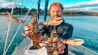 Coastal Foraging - Hand Caught Wild Lobster   [Ep17 S4]