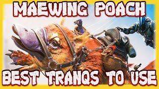 Ark Survival Evolved : Genesis Part 2 Maewing Poach Best Tranqs To Use (Missions)