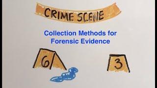 Forensic Evidence and DNA: considering the collection methods