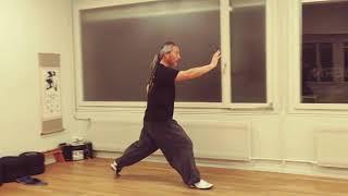 S h a n g   b u   z h a n g - Kungfu Baji Bern