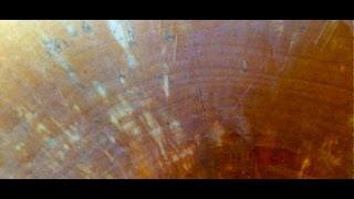 End Grain Bowl Drying Update