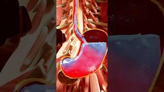 What Happens If You Drink Too Much Water Fast #short  - Creativelearning3d