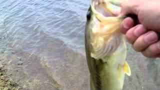 Bass fishing