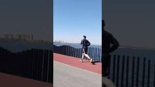 Lacul Morii Dam  | Hidden Gem of Bucharest  #shorts
