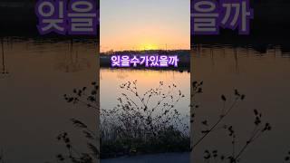 #나훈아 #잊을수있을까