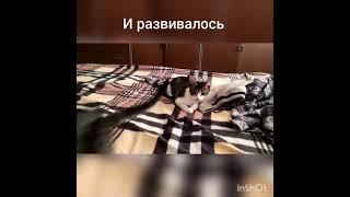 История про котят, которые стали частью семьи