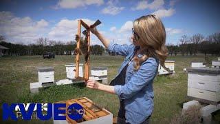 KVUE Profiles: Texas Beeworks | KVUE