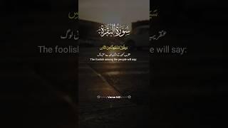 Surah Al-Baqarah #quranrecitation #tilawatequran #quran #surahbaqarah #viral #shorts