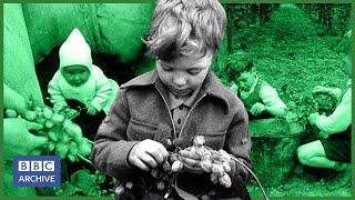 1948: The Whole Family go HOP PICKING in Kent | Newsreel | Classic Clips | BBC Archive