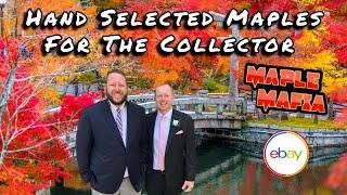 Maple Mafia eBay Breakdown For 12/15/2024 | Hand Selected Japanese Maples For The Collector