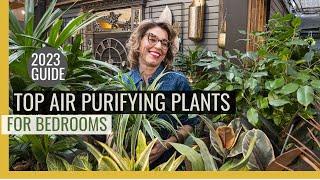 Unbelievable Air Purifier: These Bedroom Plants Release Oxygen!