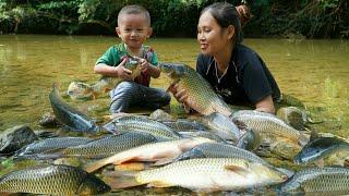 How to catch giant fish in the river to sell - cooking with children | Daily life of mother and son