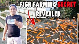 The Secret of Fish Farming in the Philippines Revealed!!! | English Language