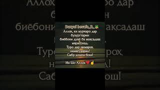 #падар #модар #дунё #сабр #оила #фарзанд__)))🪴