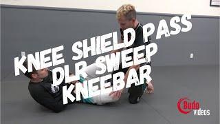 Knee shield half, DLR sweep and and unconventional kneebar - Friday Night Nogi w/ Budo Jake