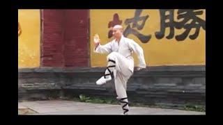 Shi Xingshan & Shi Miaowen Kungfu at the Shaolin Temple