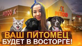 НЕРЕАЛЬНО крутые товары для животных! Магазин PETCO для домашних питомцев в США! Жизнь в Америке