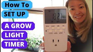 HOW to SET UP A TIMER for grow lights