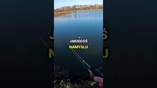 Jak Prosto łowić szczupaki?  #spinning #fish #fishing