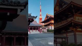 Best Tour Package Travel for Japan 2024 | Tokyo | Kyoto | Best Travel Guide for Japan