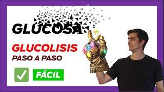  GLUCOLISIS paso a paso [FÁCIL de entender] GLICOLISIS anaerobica | reacciones enzimaticas