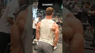 SHOULDERS & ARMS #fitness #workout