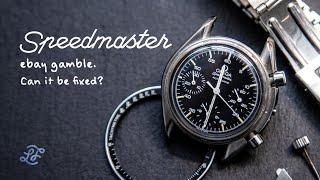 Restoring the compact version of the iconic Speedmaster – Omega Speedmaster reduced  | ASMR