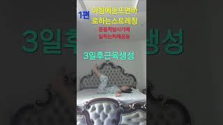국민건강백세운동교실 #운동처방사 #아침에눈뜨면바로하는스트레칭 #신진대사원활 #하체중심운동