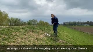 Voorjaarsinspectie - Waterschap Limburg