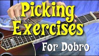 Picking Exercises for Dobro - Open G tuning