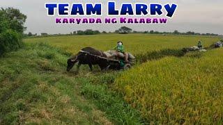 Team Larry Karyada ng Kalabaw