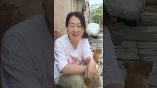 在农村混的好与不好，串门主人都是区别对待，就知道那人情冷暖了 #农村人情世故#人与人之间相处#相处之道#人与人之间现实又很扎心#农村生活
