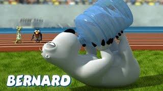 Bernard Bear | Marathon 2 AND MORE | 30 min Compilation | Cartoons for Children