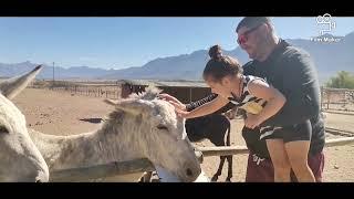 Fynbos Guest Farm. Animal Sanctuary. Wolseley. Western cape. South Africa