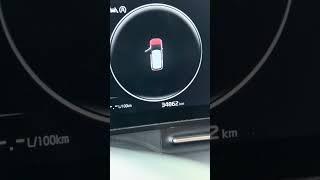 Удалили экологию Kia Carnival KA4
