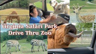 Virginia Safari Park | Jaydens Adventures