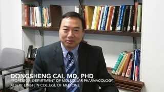 Dongsheng Cai, MD, PhD, Discusses His Work in Aging Research