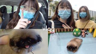 Special Vlog: 迎接家里的新成员！