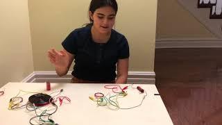 Wireless Electricity via Induction: Demo | Project #3