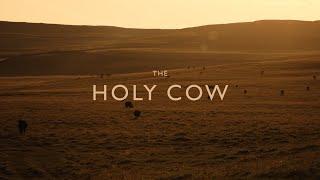 The Holy Cow