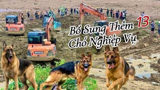 CHẠM TỚI CHIẾC CẦU BÍ ẨN CỦA LÀNG NỦ ĐỘ SÂU KINH HÃI NGHI NGỜ SẼ CÓ NHIỀU THI THỂ MẮC Ở CHÂN CẦU