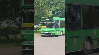 МАЗ-105Респект водителю!#automobile #maz #liaz