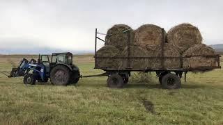 Кун на Т-40 , возим сено .