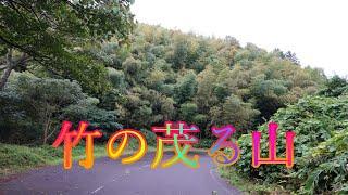 秋の恵み 10月10日 月曜 秋雨前線曇り 雨が降らなくて何より 竹の茂る山 鳥取県米子市淀江町本宮 淀江どんぐり村