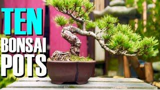 Choosing the Best Pot for Your Bonsai: Expert Tips