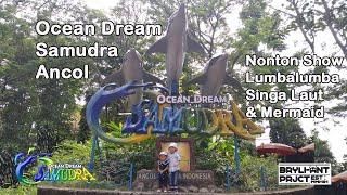 Nonton Lumba-lumba dan Singa Laut di Ocean Dream Samudra Ancol