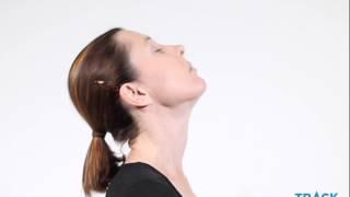 Neck flexion and extension