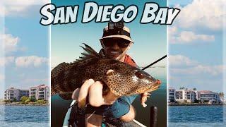 San Diego Back Bay Fishing is GOOD