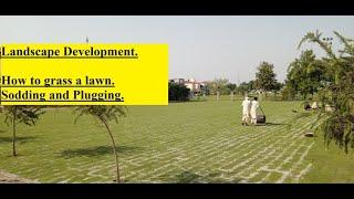 Landscape Development. Grassing of a Lawn. Grassing through sods and plugs. Grassing techniques.